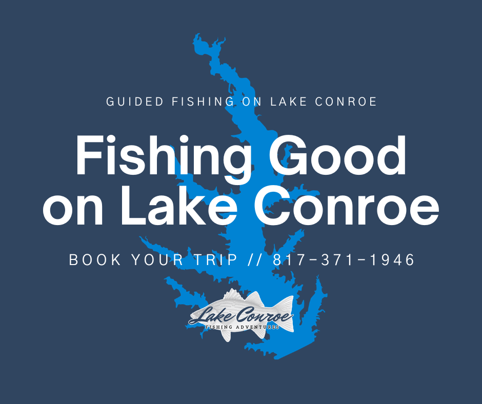 Lake Conroe Fishing Good by Licensed Professional Fishing Guide Collin Edwards of Lake Conroe Fishing Adventures